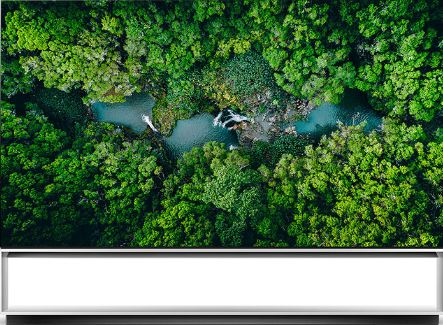 LG OLED ZX 88 8K